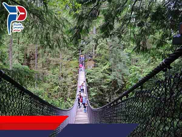 پارک لین کانیون (Lynn Canyon Park) در شمال ونکوور، بریتیش کلمبیا